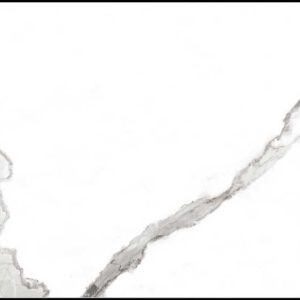 Calacatta-Paonazzo-60x120