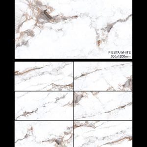FIESTA WHITE 60X120